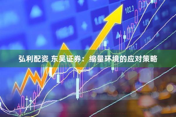 弘利配资 东吴证券：缩量环境的应对策略